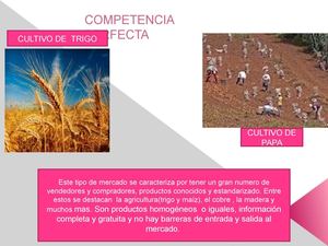 PRUEBA ESTUDIANTE INCREDULO