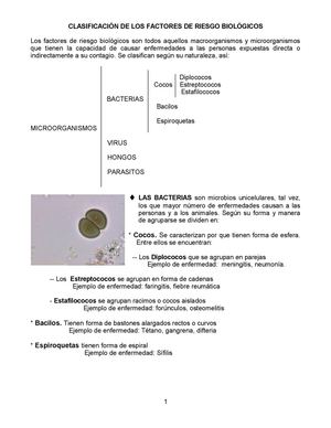 Riesgo Biologico