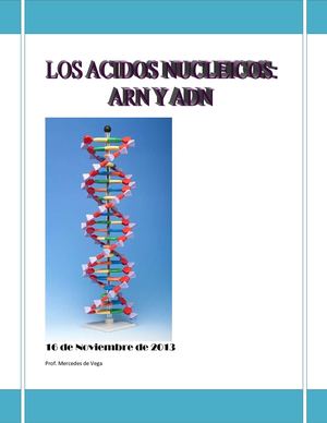 Los Acidos Nucleicos: ARN y ADN