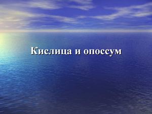 Работа Власовой П.