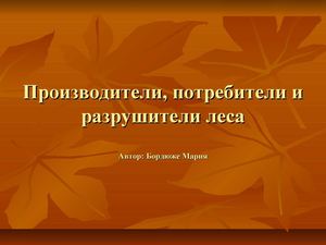 Работа Бордюже М.