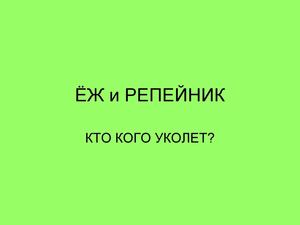 Работа Киреевой М.