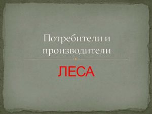 Работа Лёвина Д.