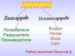 Работа Лоскутова Д.