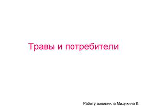 Работа Мищихиной Л.