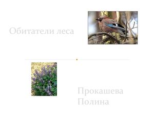 Работа Прокашевой П.