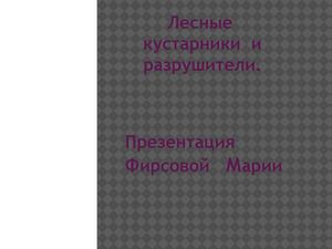 Работа Фирсовой М.
