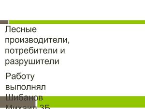 Работа Шибанова М.