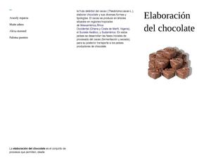elaboracion del chocolate 