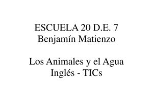 Animal Puzzles