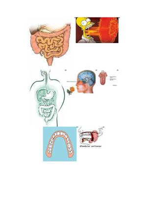 Eta horrela bizitzen gera