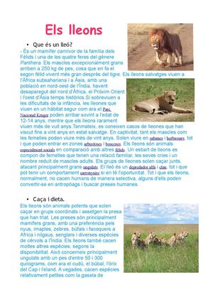 Els lleons