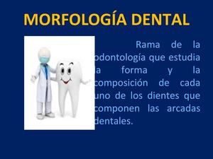 diana delgado certificación 