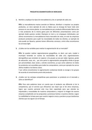 Preguntas segmentación