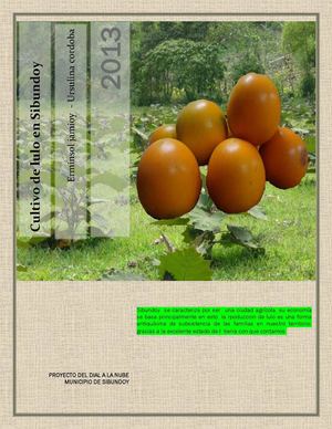 CULTIVO DE LULO EN SIBUNDOY