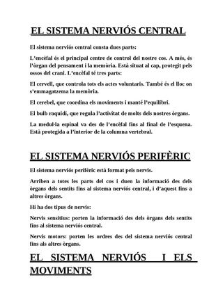 2º parte sistema nervios