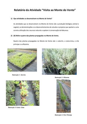 Relatório da visita ao Monte do Vento