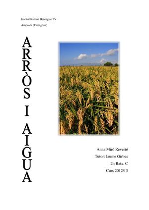 ARRÒS I AIGUA