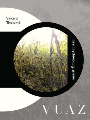 VUAZ de Vincent Tholomé