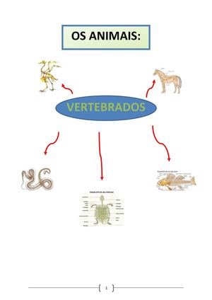 OS ANIMAIS VERTEBRADOS