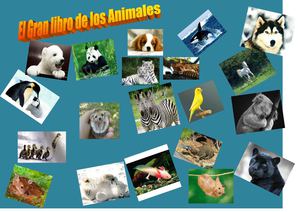 El gran libro  de los animales de  cuarto