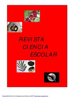 Revista científica 3°B Escuela N°8