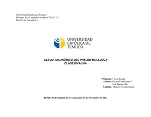 Álbum taxonómico-phylum mollusca-clase bivalvia