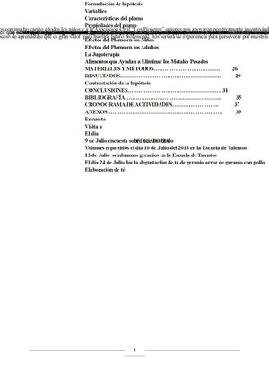 Problemática del plomo en Puerto Nuevo