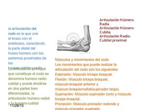 aticulacion del codo