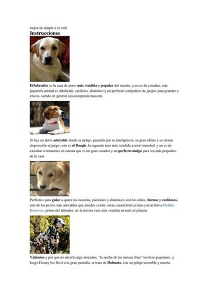 PERROS LINDOS MAS VENDIDOS