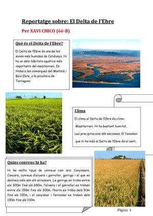 REPORTATGE SOBRE EL DELTA DE L'EBRE, per Xavi Chico