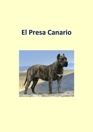 El Presa Canario