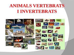 ANIMALS VERTEBRATS I INVERTEBRATS (1)