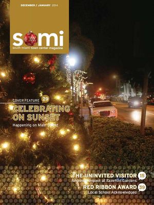SOMIMag December/January 2014