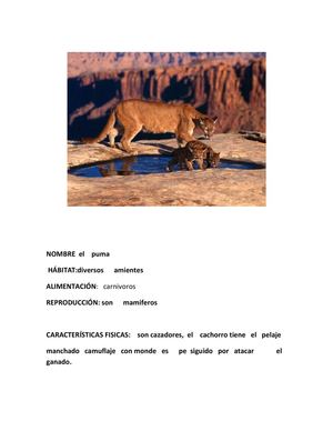 Enciclopedia de animales