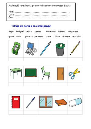 avaluació nouvinguts conceptes bàsics