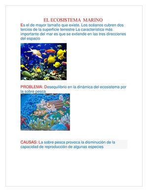 EL ECOSISTEMA MARINO 