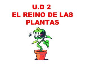 EL REINO DE LAS PLANTAS 5º PRIMARIA