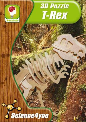 Online Content Puzzle 3D Trex