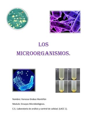 los microorganimos
