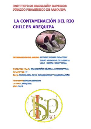 monografia de la contaminacion del rio chili