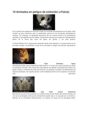 Animales en peligro de extincion