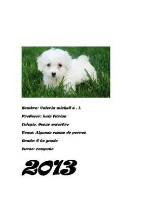 Algunas Razas de perros