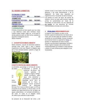 EL MEDIO AMBIENTE