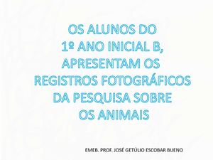 Registros fotográficos 