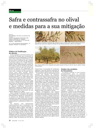 Safra e Contrassafra