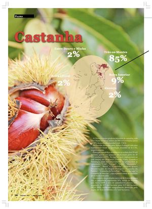 Desinfeção de Castanha por Irradiação