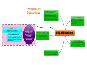 Entendiendo las Organizaciones. Mapa Conceptual