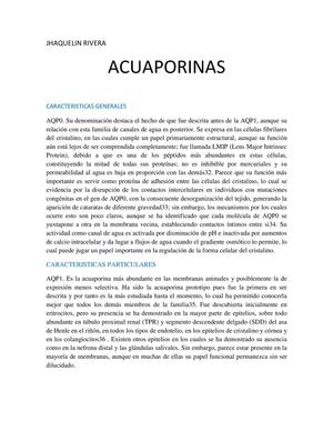 acuaporinas