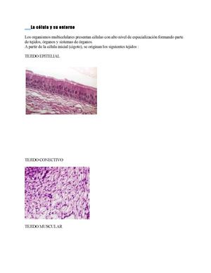 Modulo 2 a Histología Humana